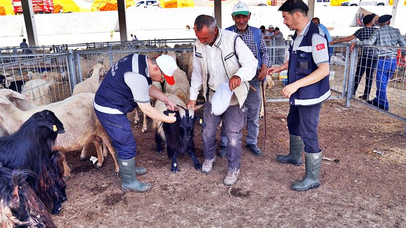 Kurbanlık Hayvan  Denetim ve Bilgilendirme Yapıldı