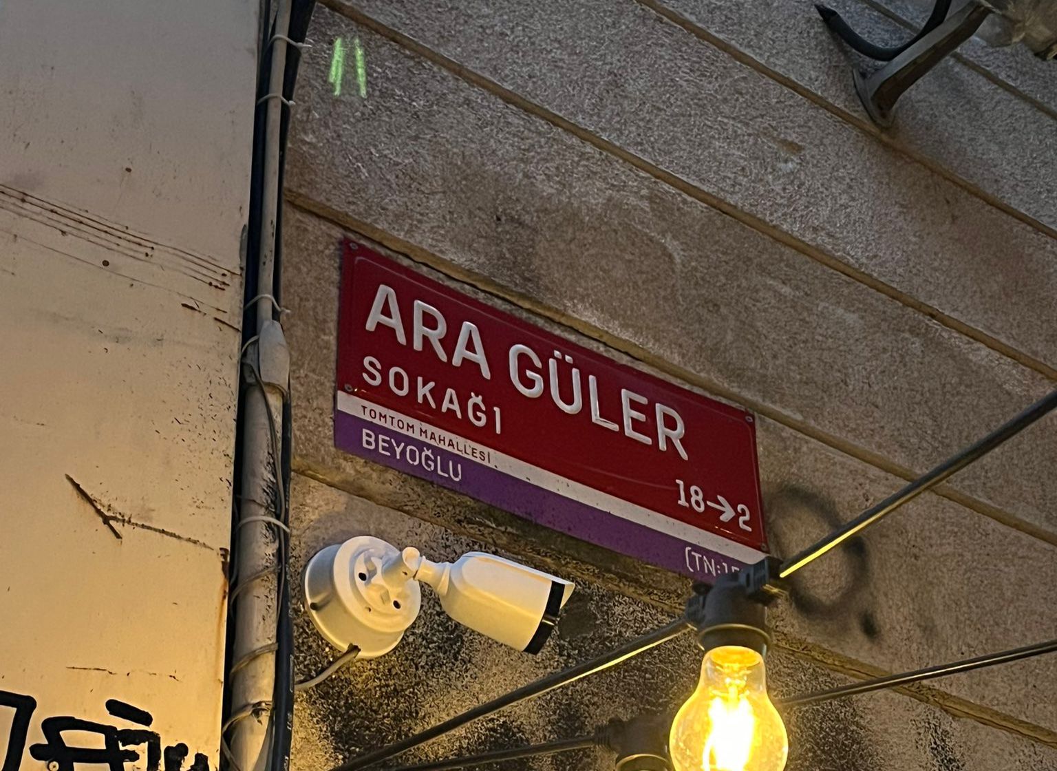 Ara Güler