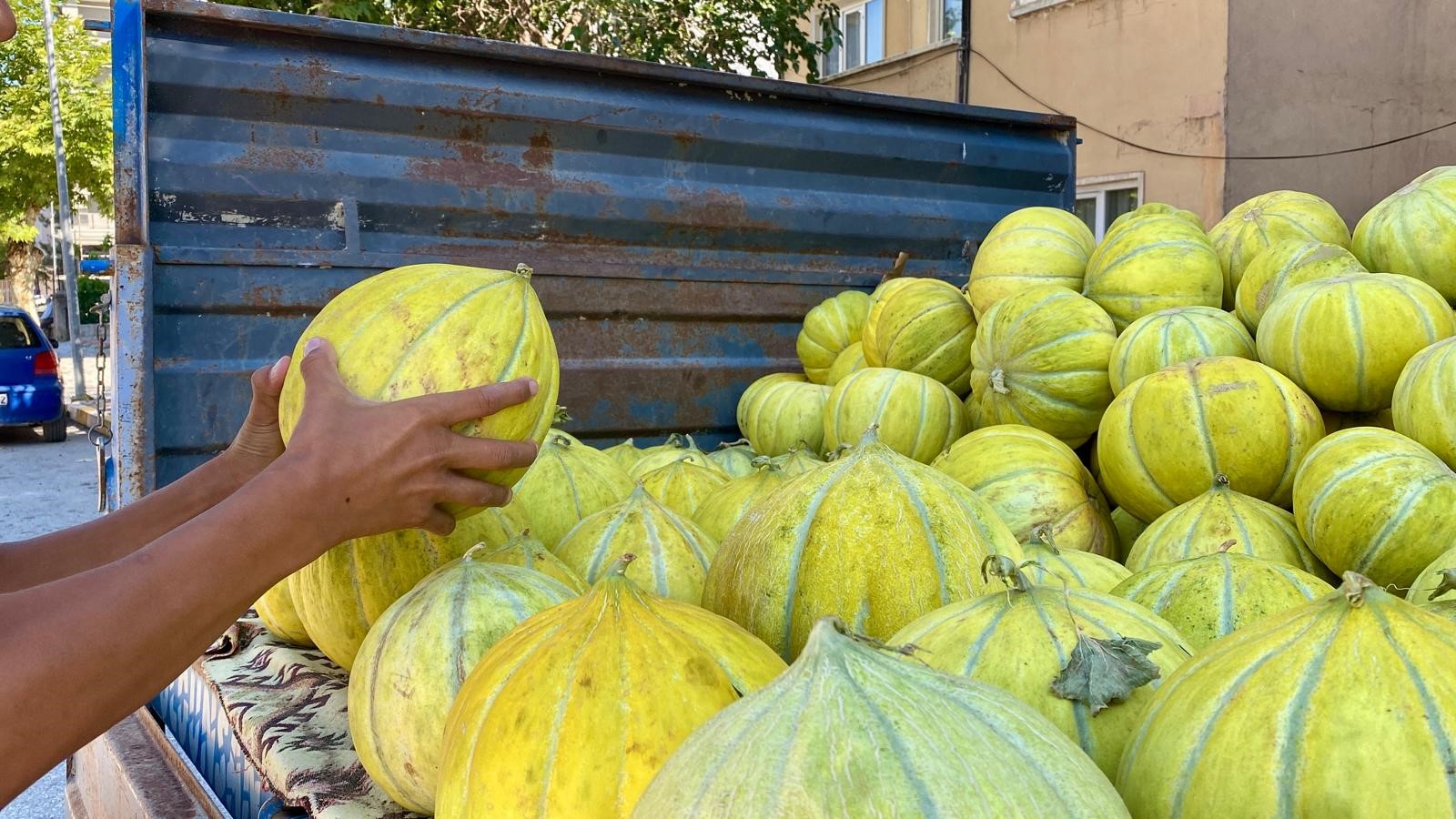 Meşhur Kızılırmak Kavunu Satışta Lezzet Şöleni Başladı2