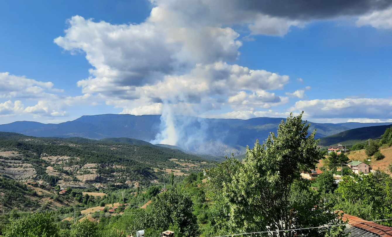 Cankiri Bayramoren Orman Yangini