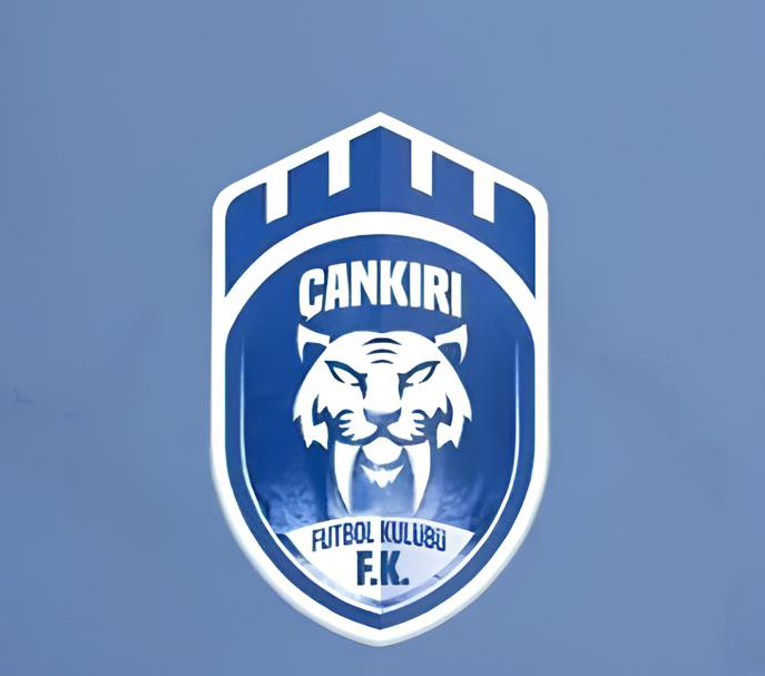 Cankiri Fk Logo (1) Copy