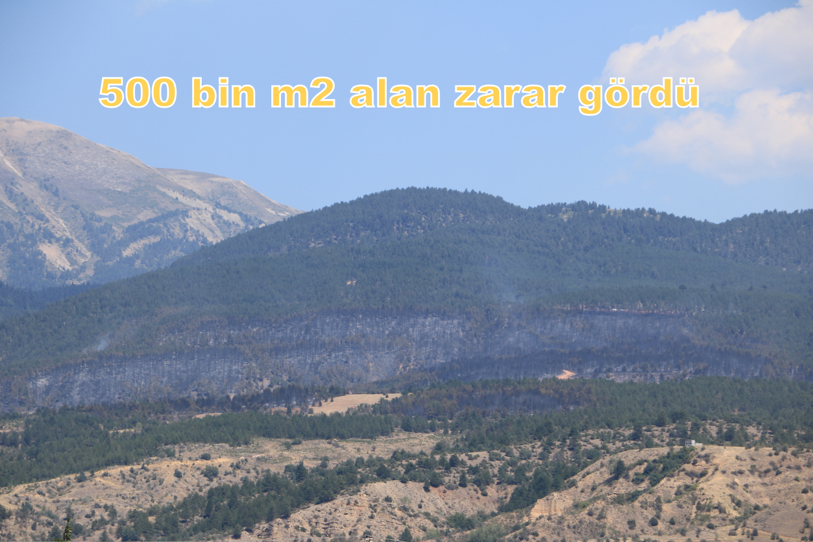 Ilgaz Orman Yangını43