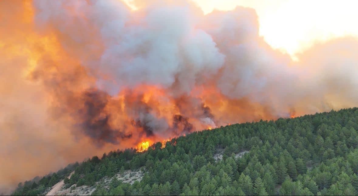 Ilgaz’daki Orman Yangınında Tüm Detaylar Açıklandı Çankırı İl Başkanı Erdoğan’ın Kritik Açıklamaları1