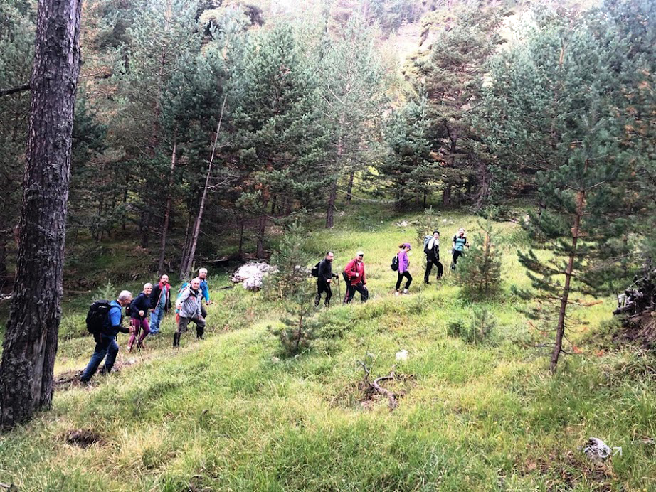 Ilgaz Dağı’nda Unutulmaz Bir Tırmanış! 11 Sporcu Ilgaz Zirvesinde Buluştu3