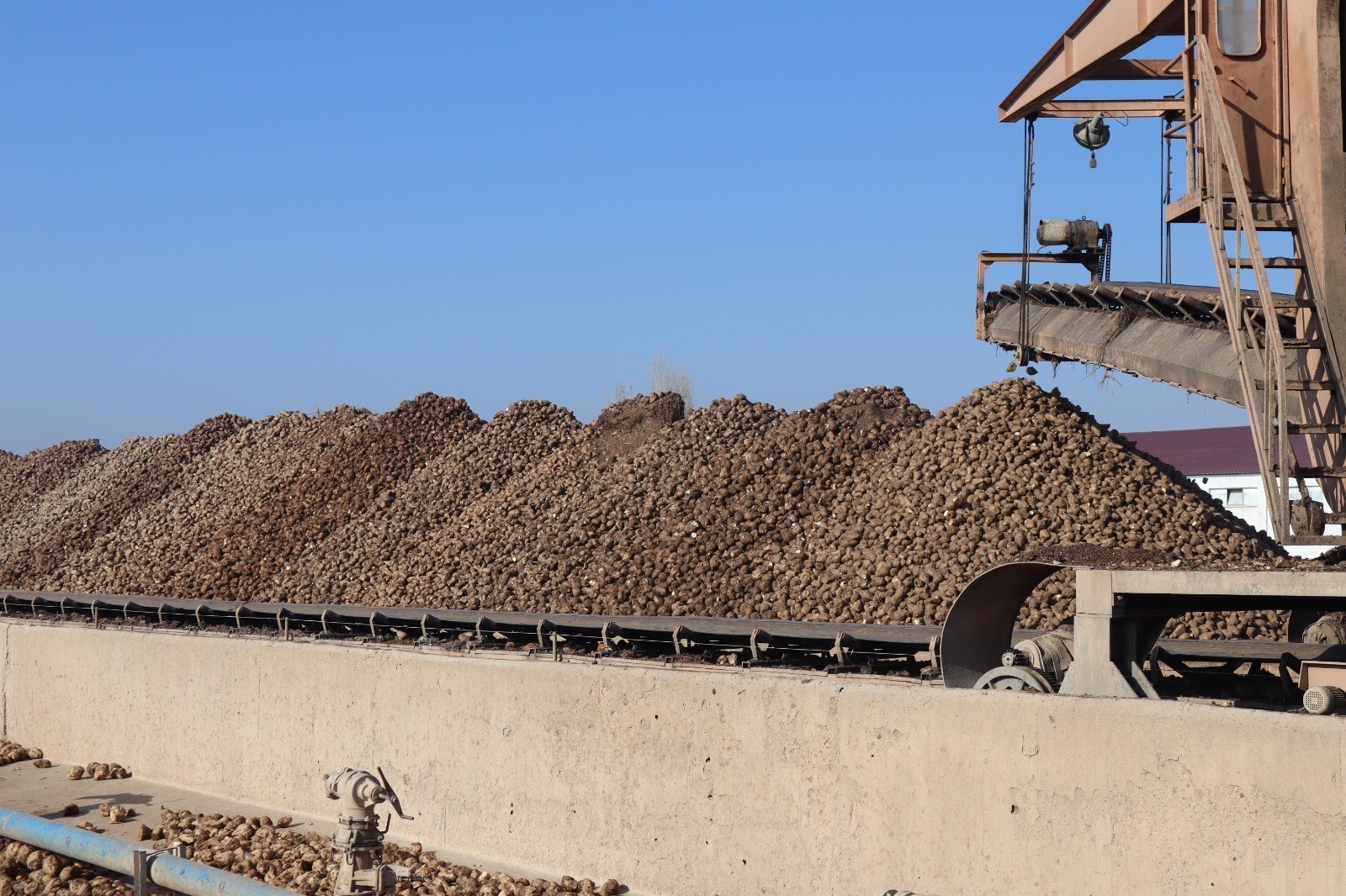 Malatya Şeker Fabrikası'nda Hedef 55 Bin Ton Şeker Üretimi