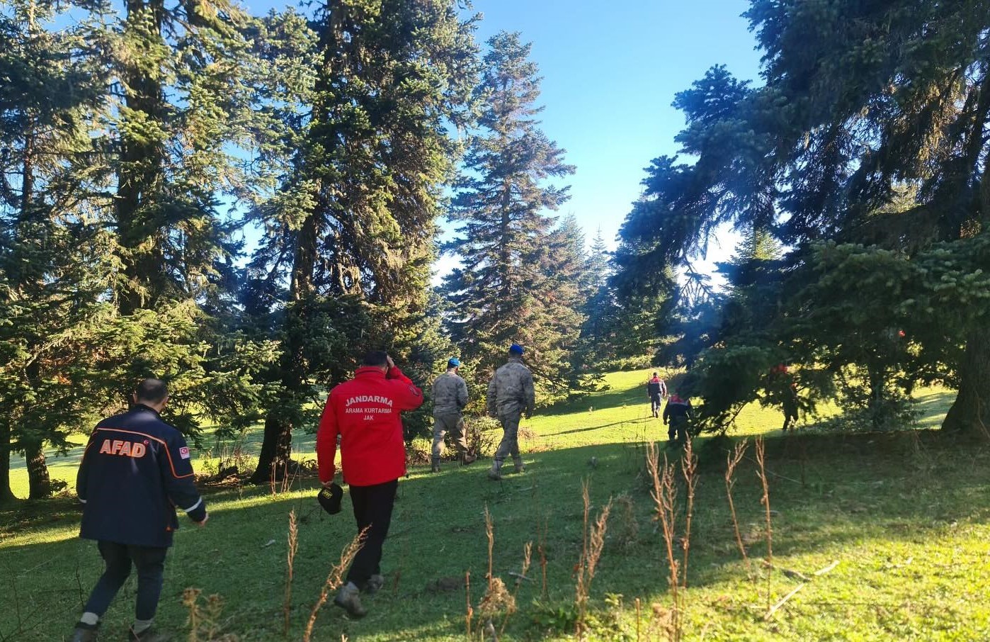 Ilgaz’da Mantar Toplamaya Giden Yaşlı Adam Ölü Bulundu-1