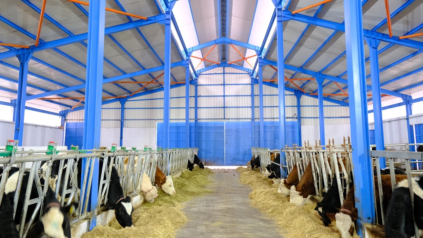 Çankırı Tarım Lisesi Öğrencileri, Geleceğin Çiftçileri Olarak Yetişiyor! (3)