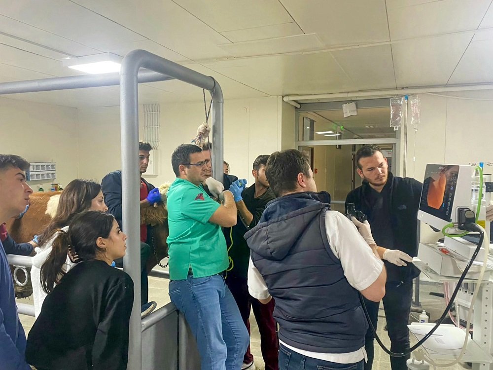 334 Can Hayat Buldu Kastamonu'da Veteriner Başarısı! (2)