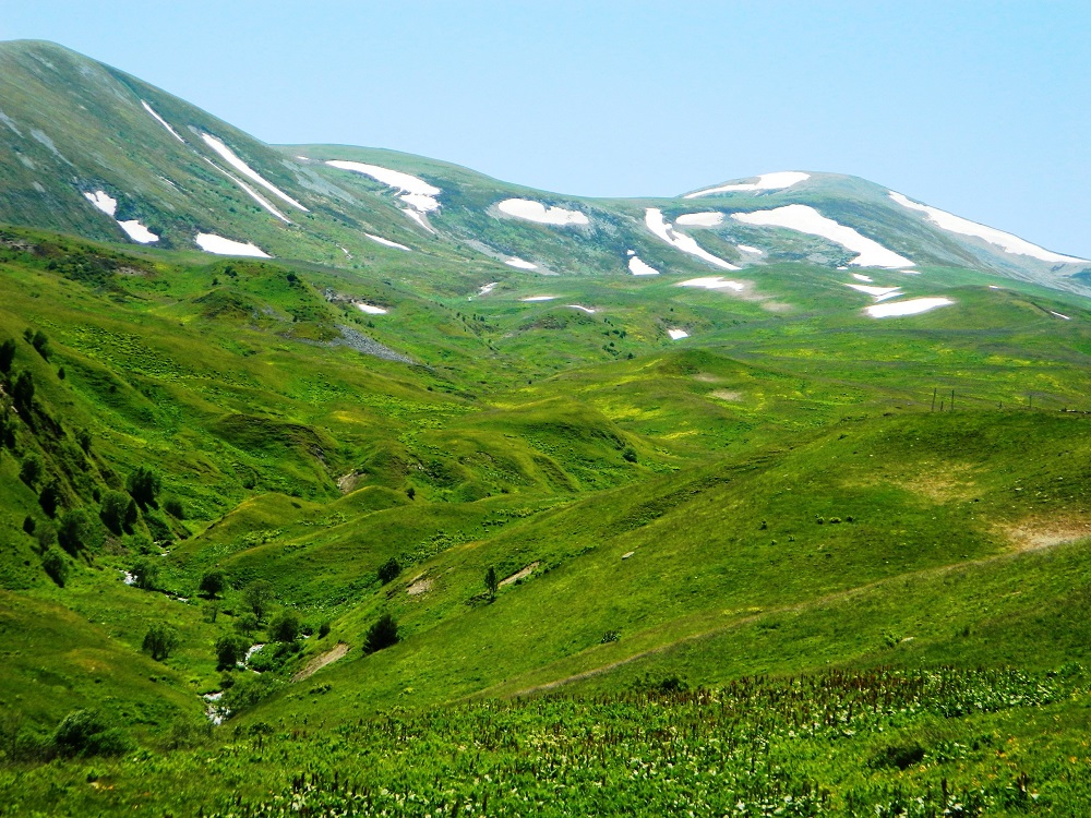 Ardahan Posof’ta Yayla Sezonu Gecikmeli Başladı (2)