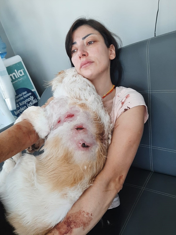 Başıboş Kangallar Genç Kadına Saldırdı! (1)
