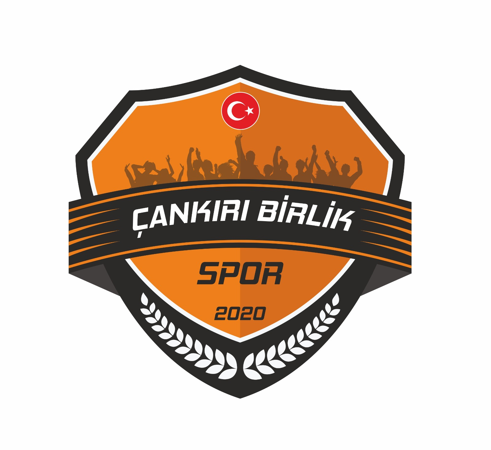 Birlik Spor 2. Lig’e Döndü (1)