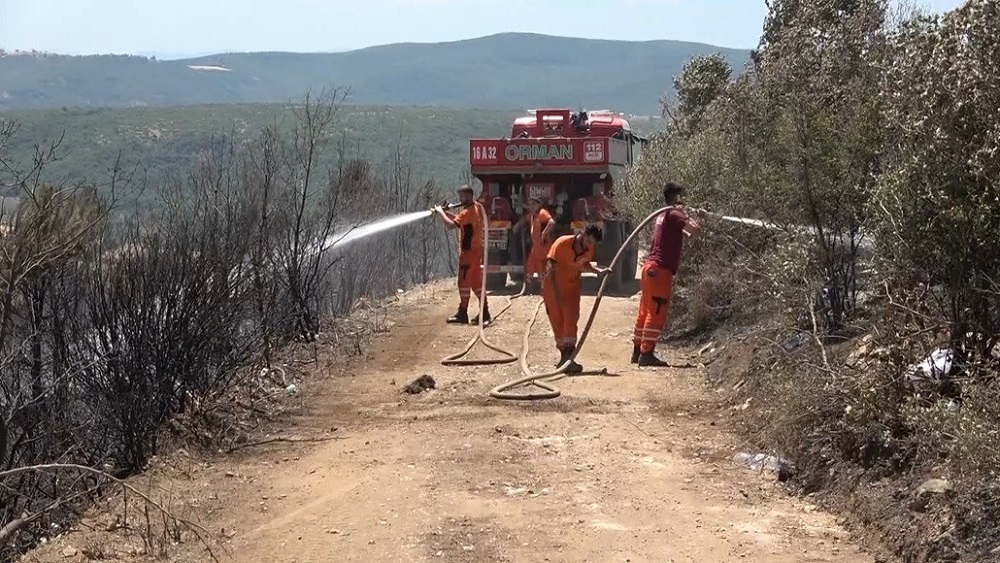 Bursa Yenişehir’de Orman Yangını 500 Futbol Sahası Kül Oldu! (3)