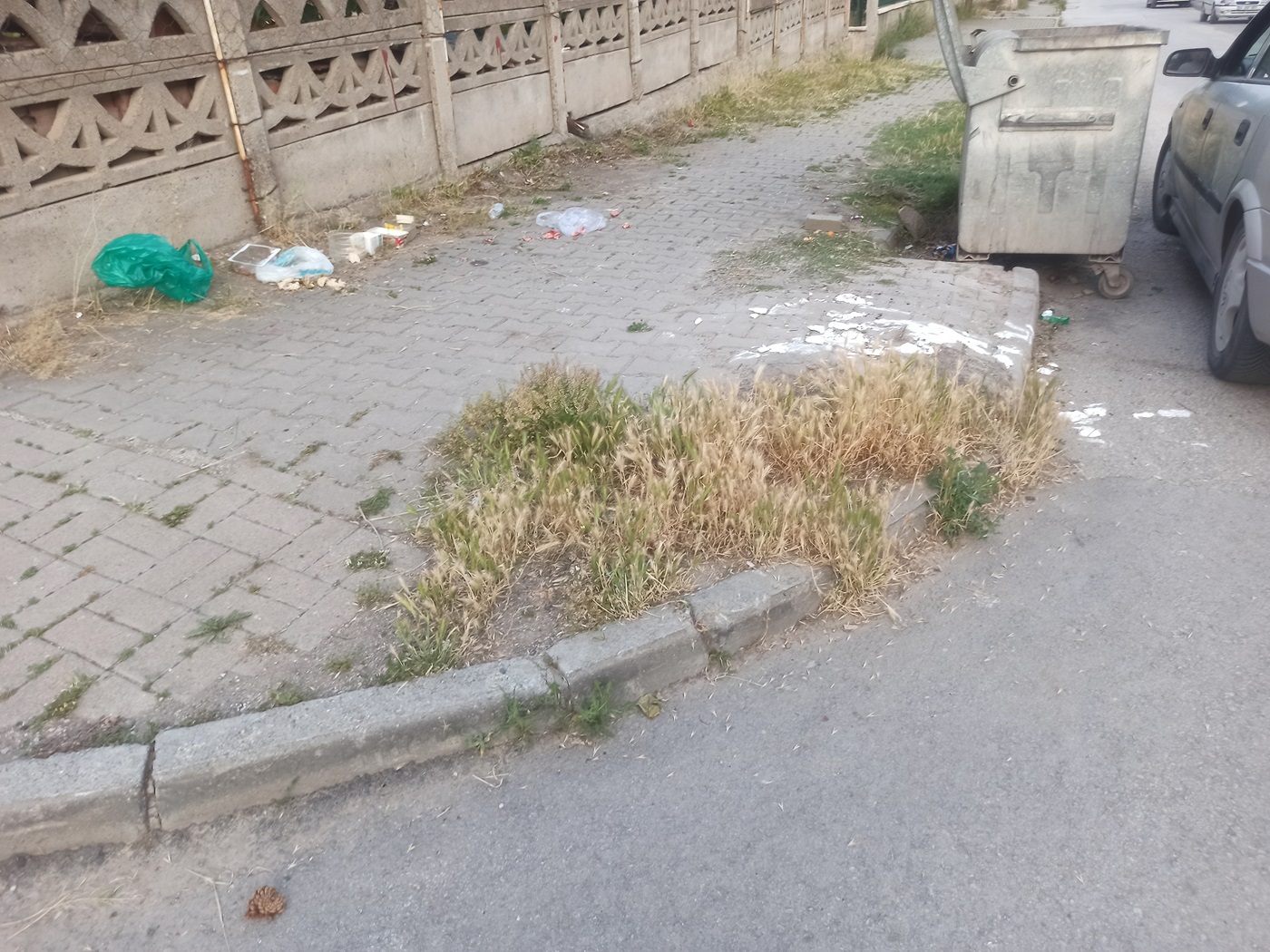 Çankırı Belediyesi Temizlediğini Söylüyo Vatandaş Tlar Diz Boyu! (1)