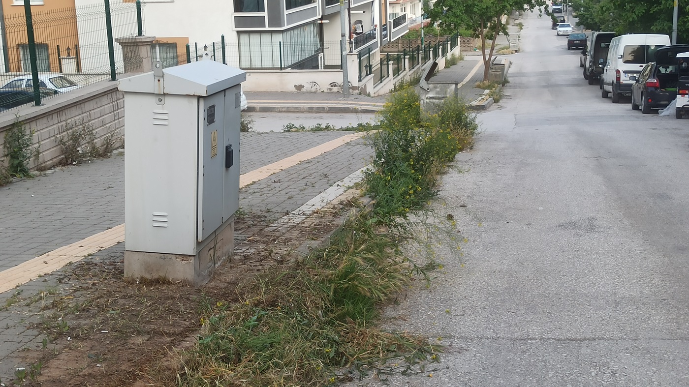 Çankırı Belediyesi Temizlediğini Söylüyo Vatandaş Tlar Diz Boyu! (10)-1