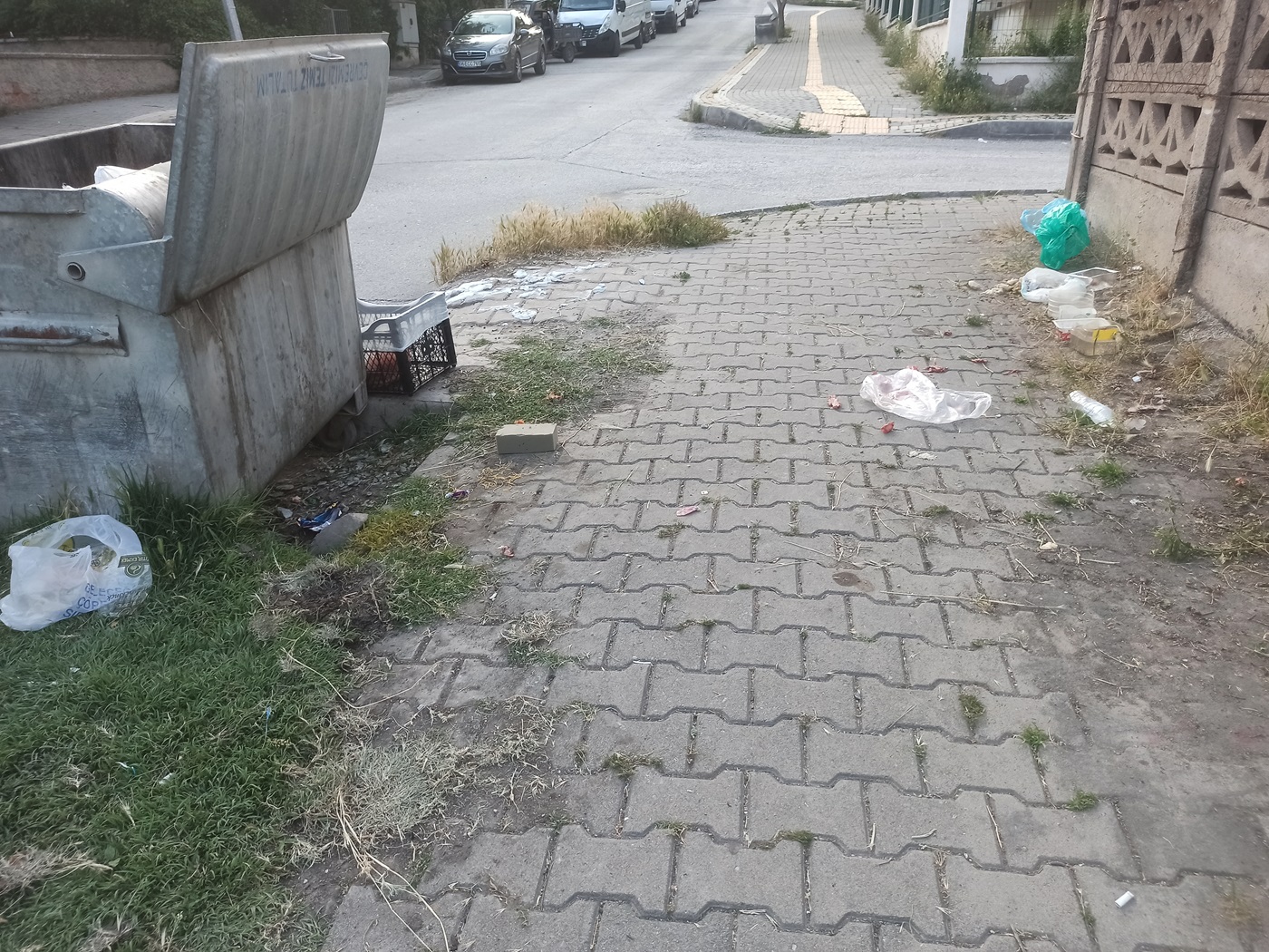 Çankırı Belediyesi Temizlediğini Söylüyo Vatandaş Tlar Diz Boyu! (14)