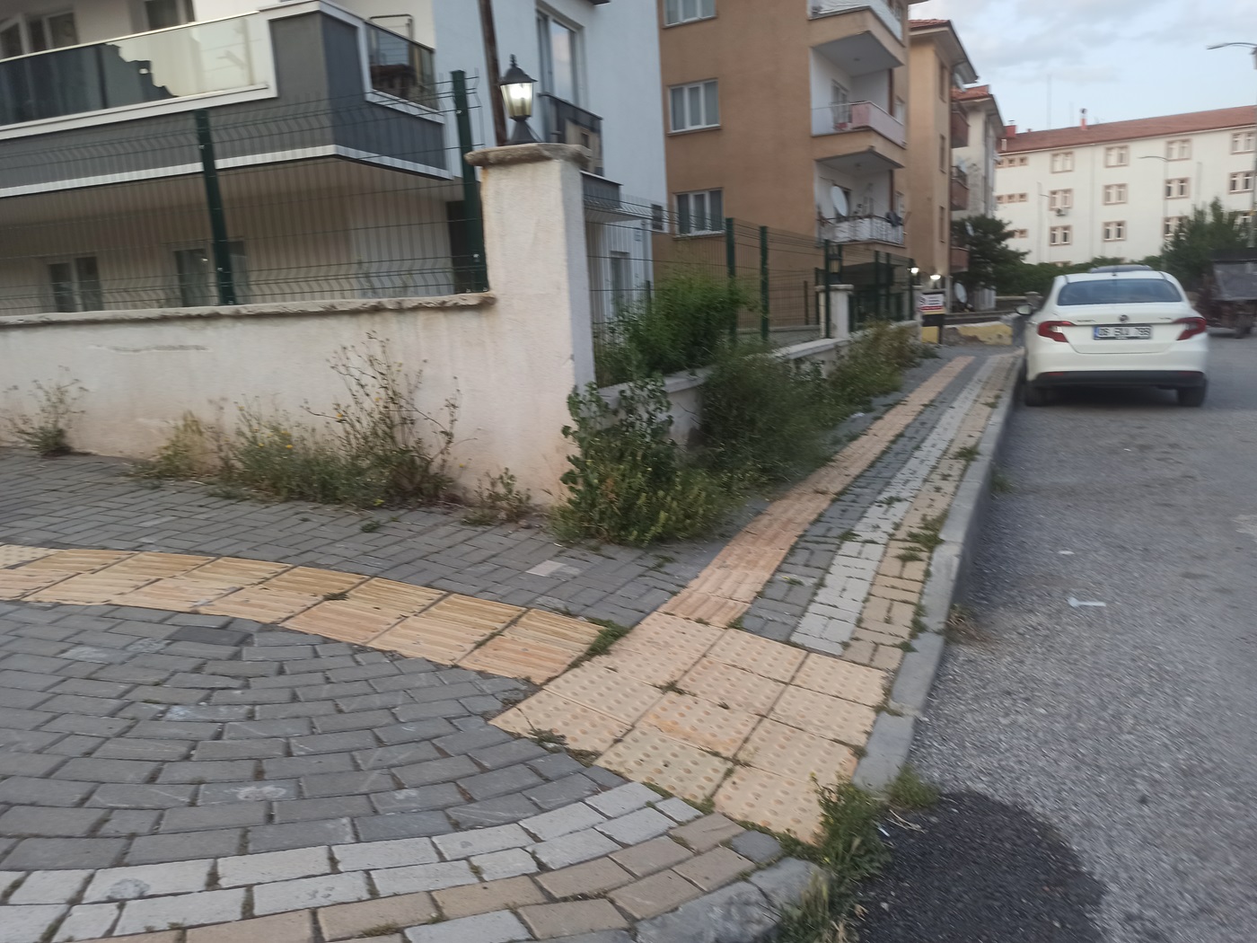 Çankırı Belediyesi Temizlediğini Söylüyo Vatandaş Tlar Diz Boyu! (15)