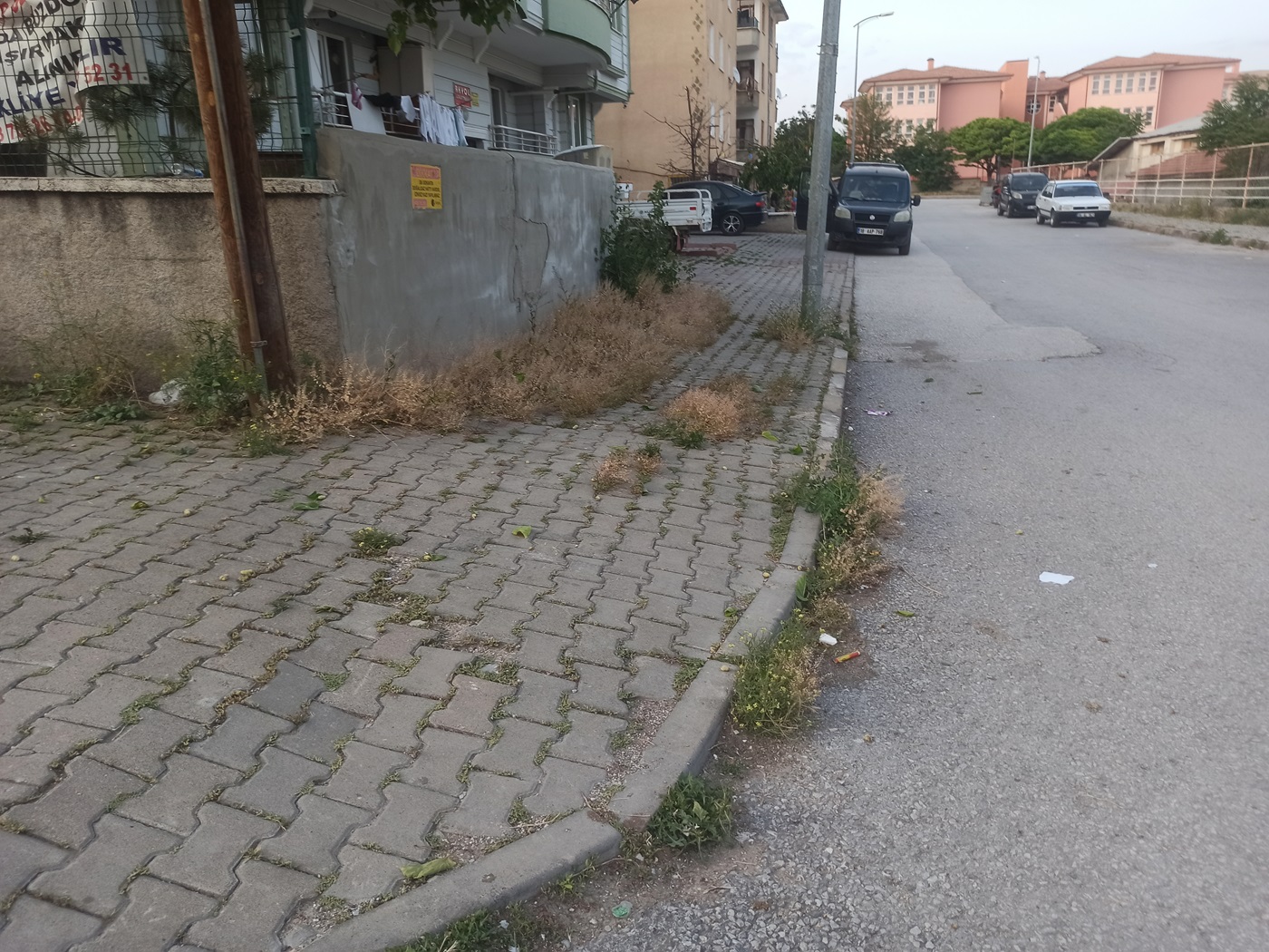 Çankırı Belediyesi Temizlediğini Söylüyo Vatandaş Tlar Diz Boyu! (18)