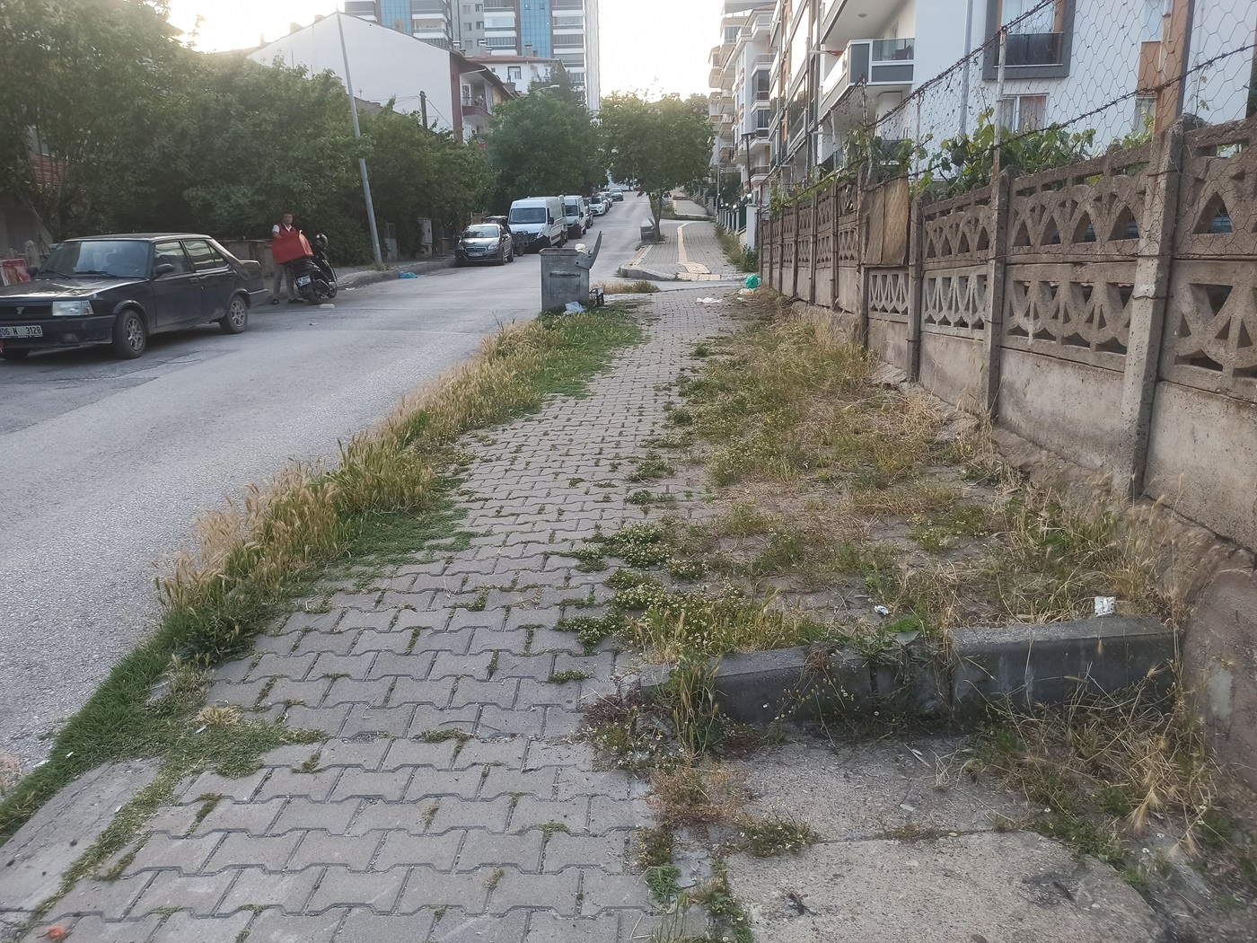 Çankırı Belediyesi Temizlediğini Söylüyo Vatandaş Tlar Diz Boyu! (22)