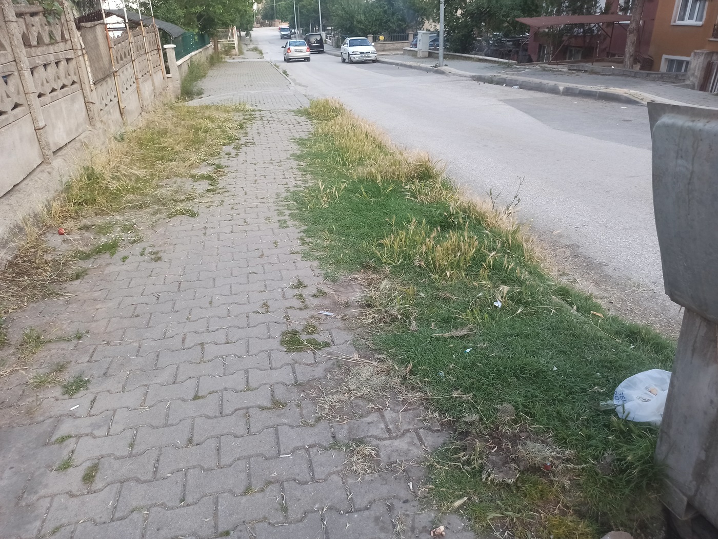 Çankırı Belediyesi Temizlediğini Söylüyo Vatandaş Tlar Diz Boyu! (5)