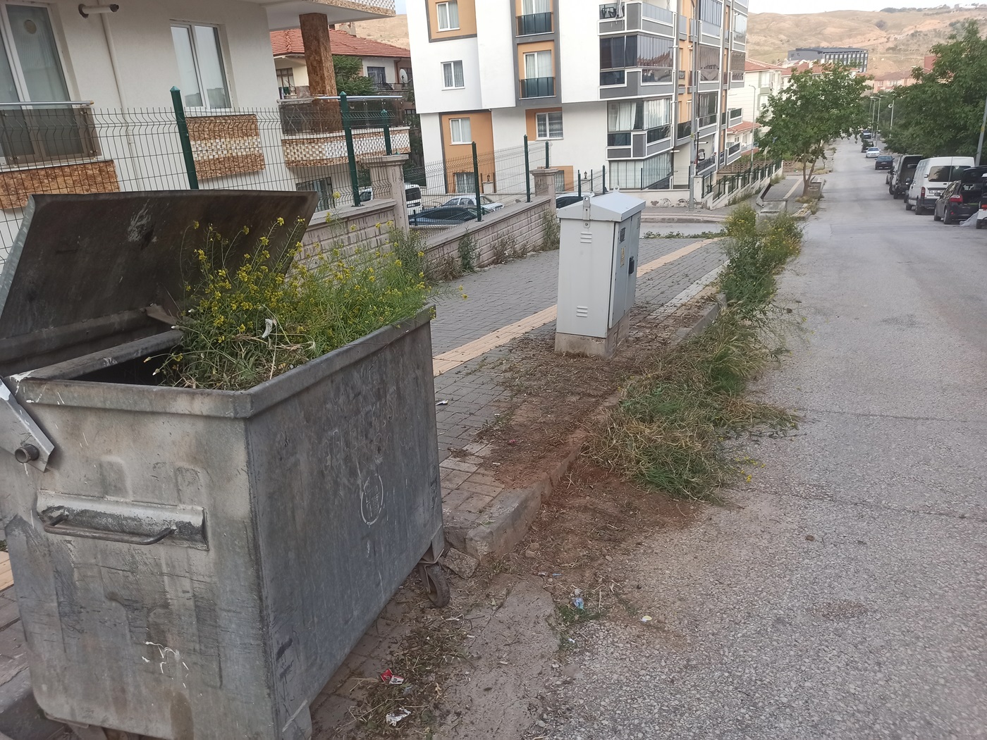 Çankırı Belediyesi Temizlediğini Söylüyo Vatandaş Tlar Diz Boyu! (8)