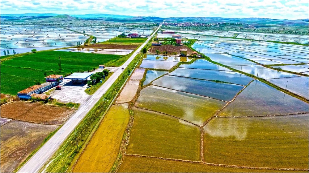 Çankırı Tarımı İçin Hayati Adım Sulama Hattı Projesi Başladı (3)