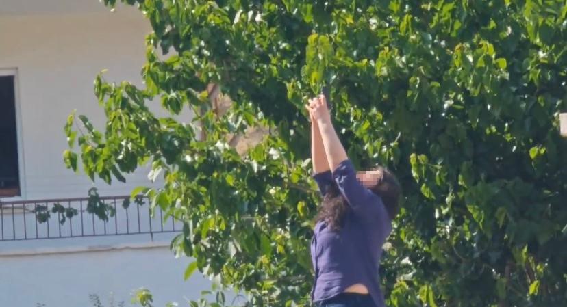 Çankırı’da Kıskançlık Krizi Ofise Ateş Açtı, Sokakta İntihara Kalkıştı (2)