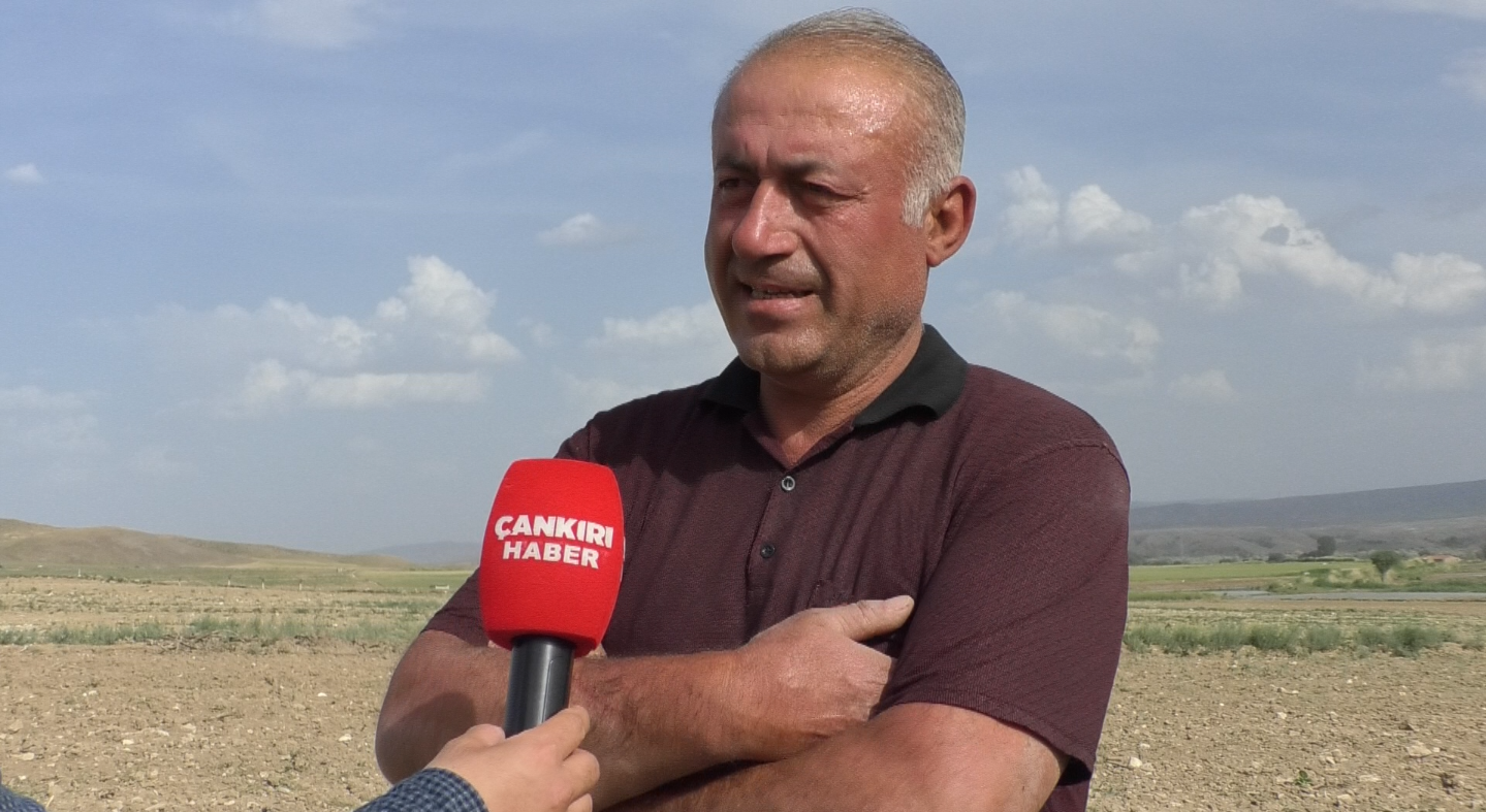 Çankırı’nın Meşhur Kavunu Çatalelma’dan Yükseliyor! İşte Toprağın Gücü Ve Tat Dolu Hasat13