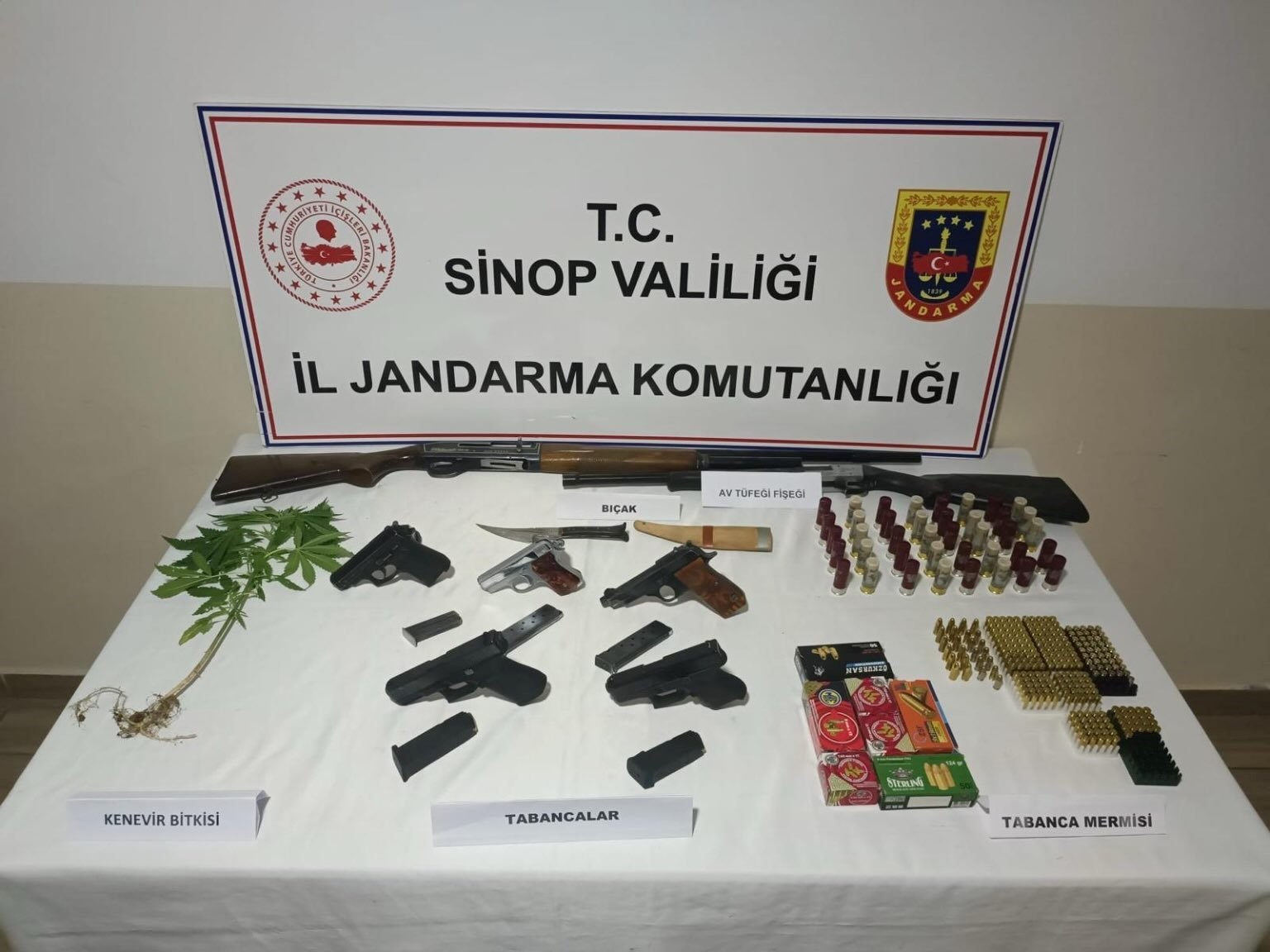 Erfelek’te Ruhsatsız Silahlar Ve Kenevir Bitkisi Ele Geçirildi