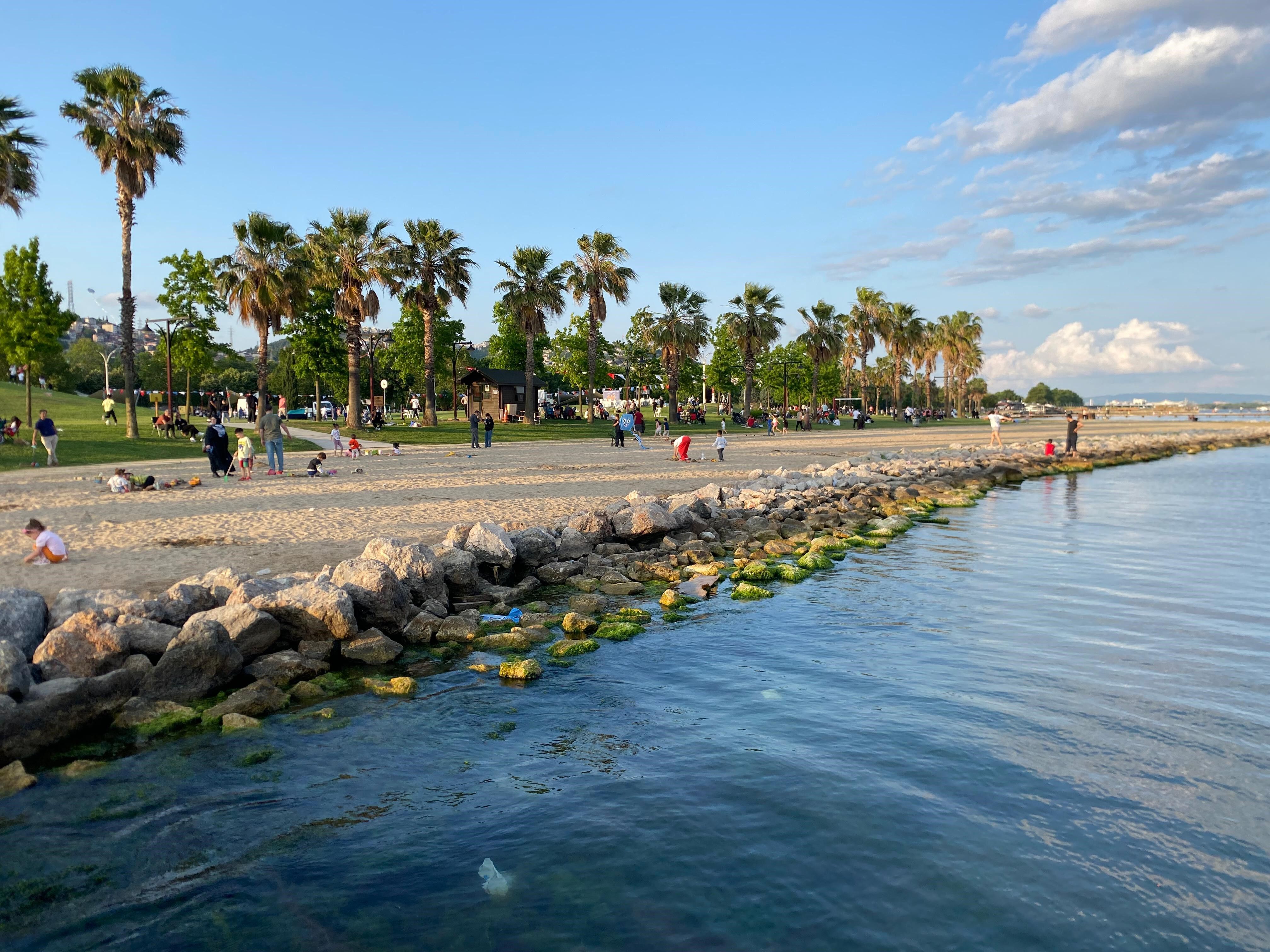 Havaların Isınmasıyla Kocaeli’de Yılanlar Artıyor Sekapark’ta Devasa Bir Yılan Kamerada (1)