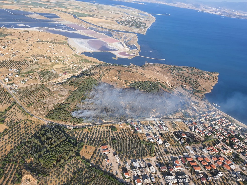 İzmir Dikili’de Orman Yangını Hızla Kontrol Altına Alındı (1)