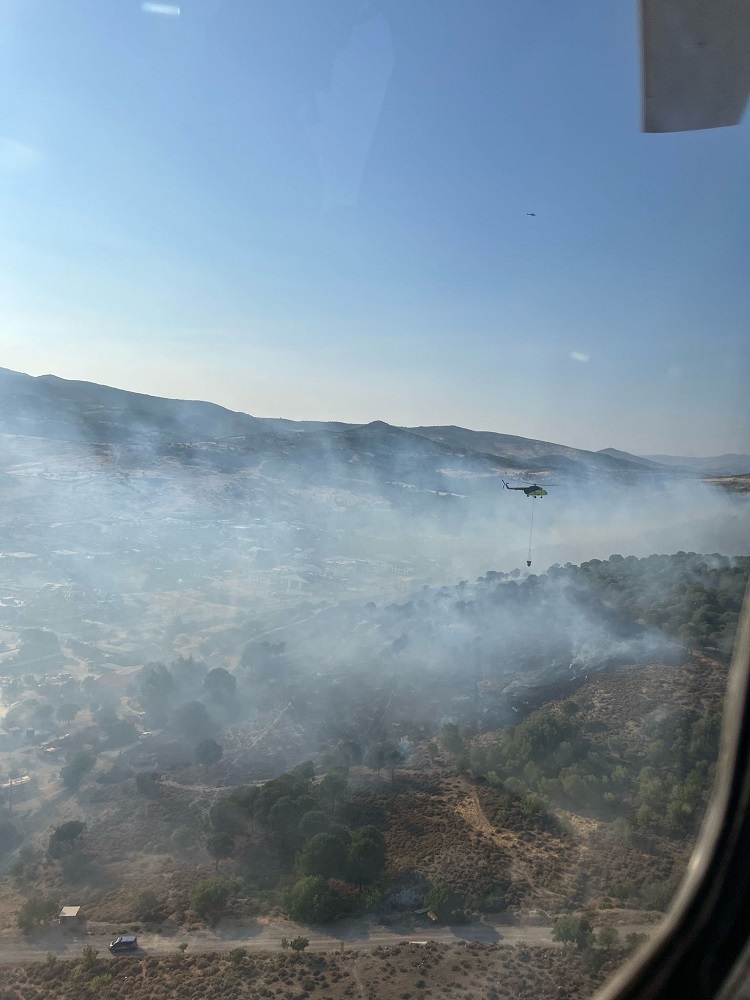 İzmir Dikili’de Orman Yangını Hızla Kontrol Altına Alındı (2)