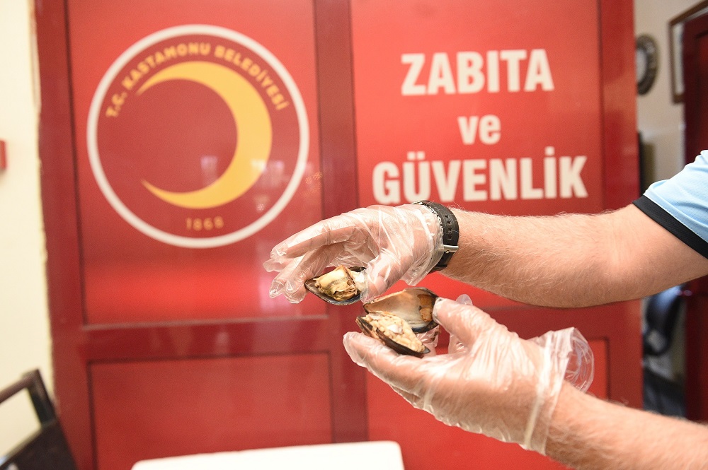 Kastamonu Otogarında Soğuk Zinciri Bozulmuş 45 Kilo Midye Ele Geçirildi (1)
