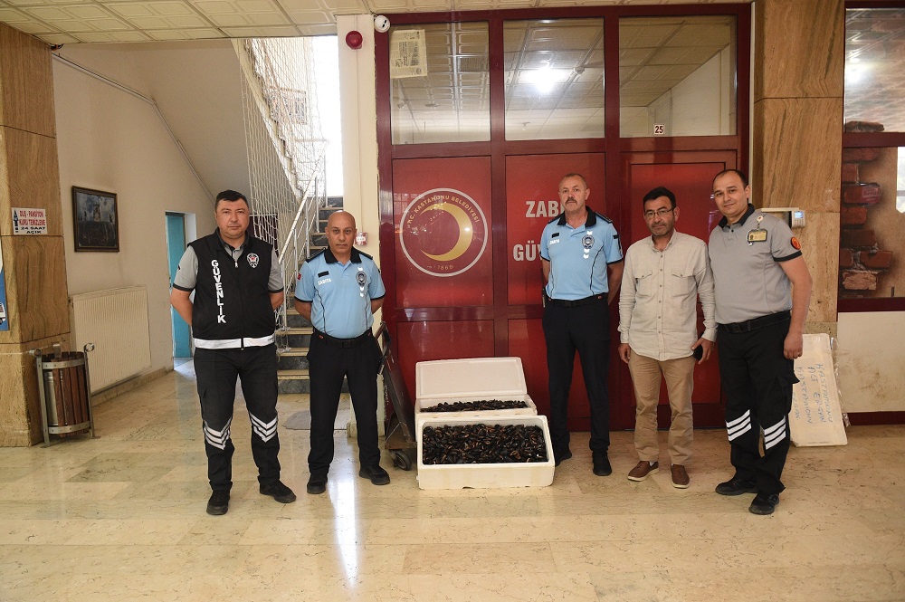 Kastamonu Otogarında Soğuk Zinciri Bozulmuş 45 Kilo Midye Ele Geçirildi (3)