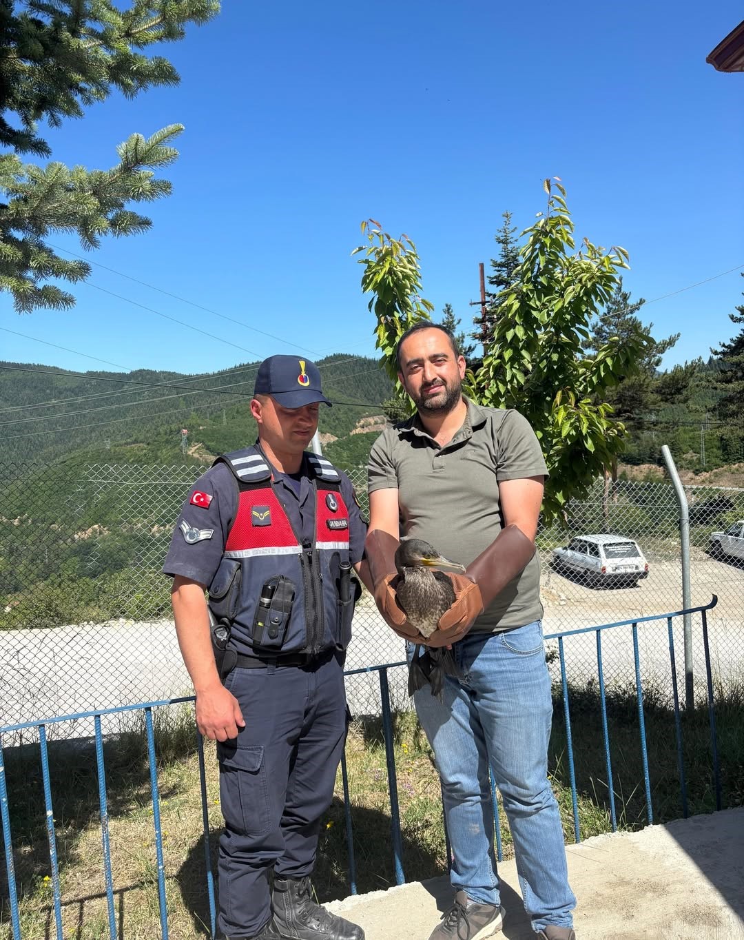 Kastamonu’da Tedavi Edilen Karabatak Ve Karga Doğaya Salındıa (1)