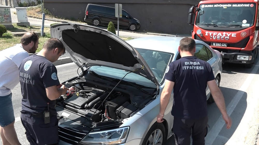 Kırmızı Işıkta Otomobile Sığınan Kedi Trafiği Durdurdu (1)