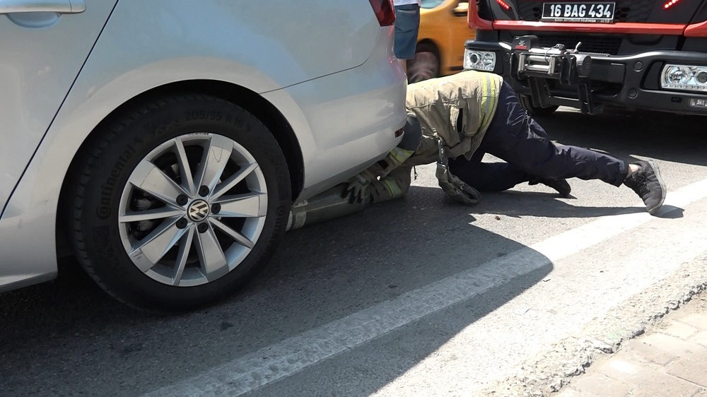 Kırmızı Işıkta Otomobile Sığınan Kedi Trafiği Durdurdu (2)