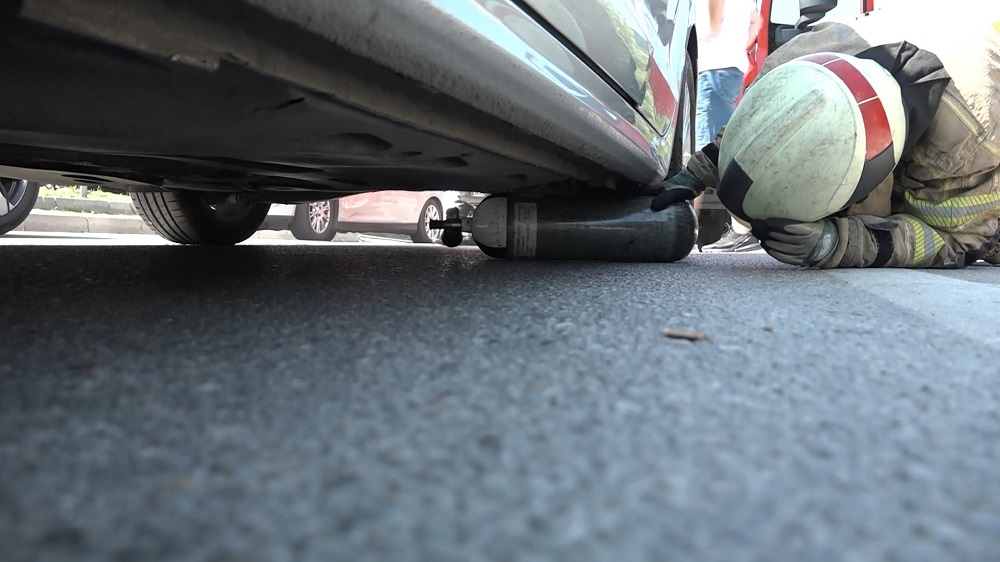Kırmızı Işıkta Otomobile Sığınan Kedi Trafiği Durdurdu (3)
