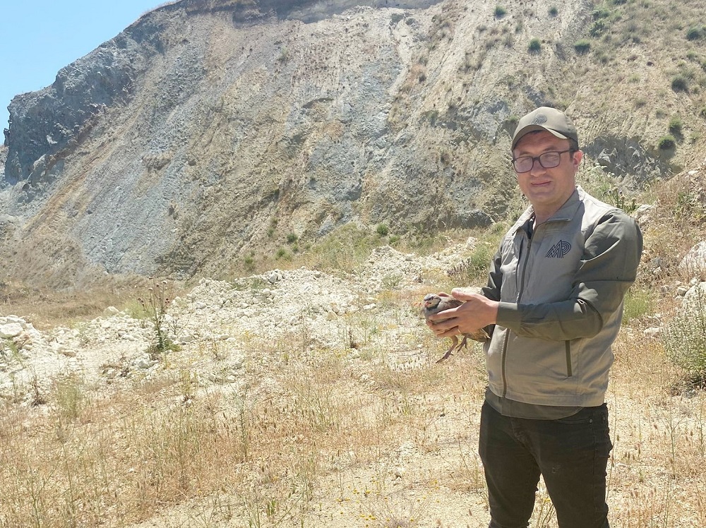 Mustafakemalpaşa’da 100 Keklik Doğaya Salındı, Bölge Avcılığa Kapandı (4)