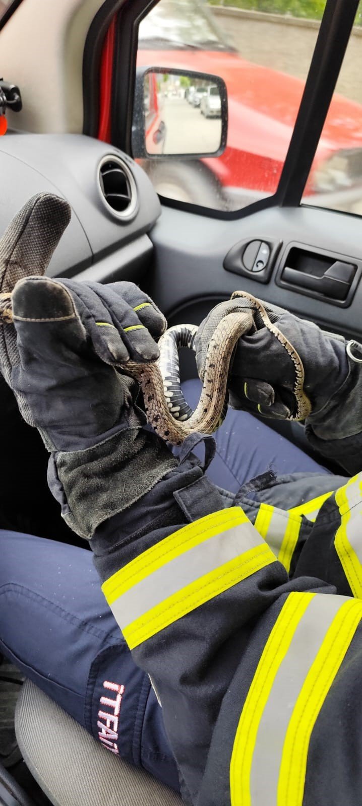 Osmancık’ta Evde Yılan Alarmı! Müdahale Hızlı Geldi (2)