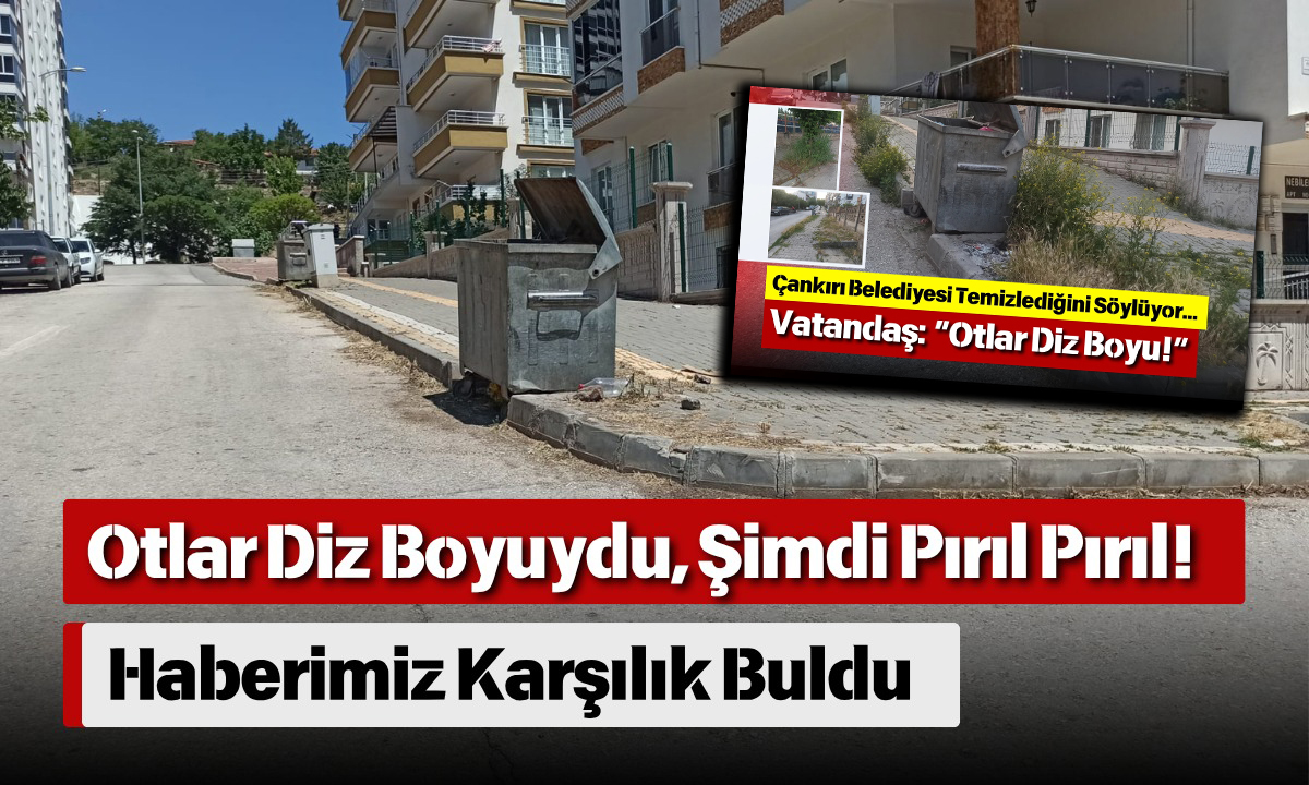 Otlar Diz Boyuydu, Şimdi Pırıl Pırıl! Haberimiz Karşılık Buldu