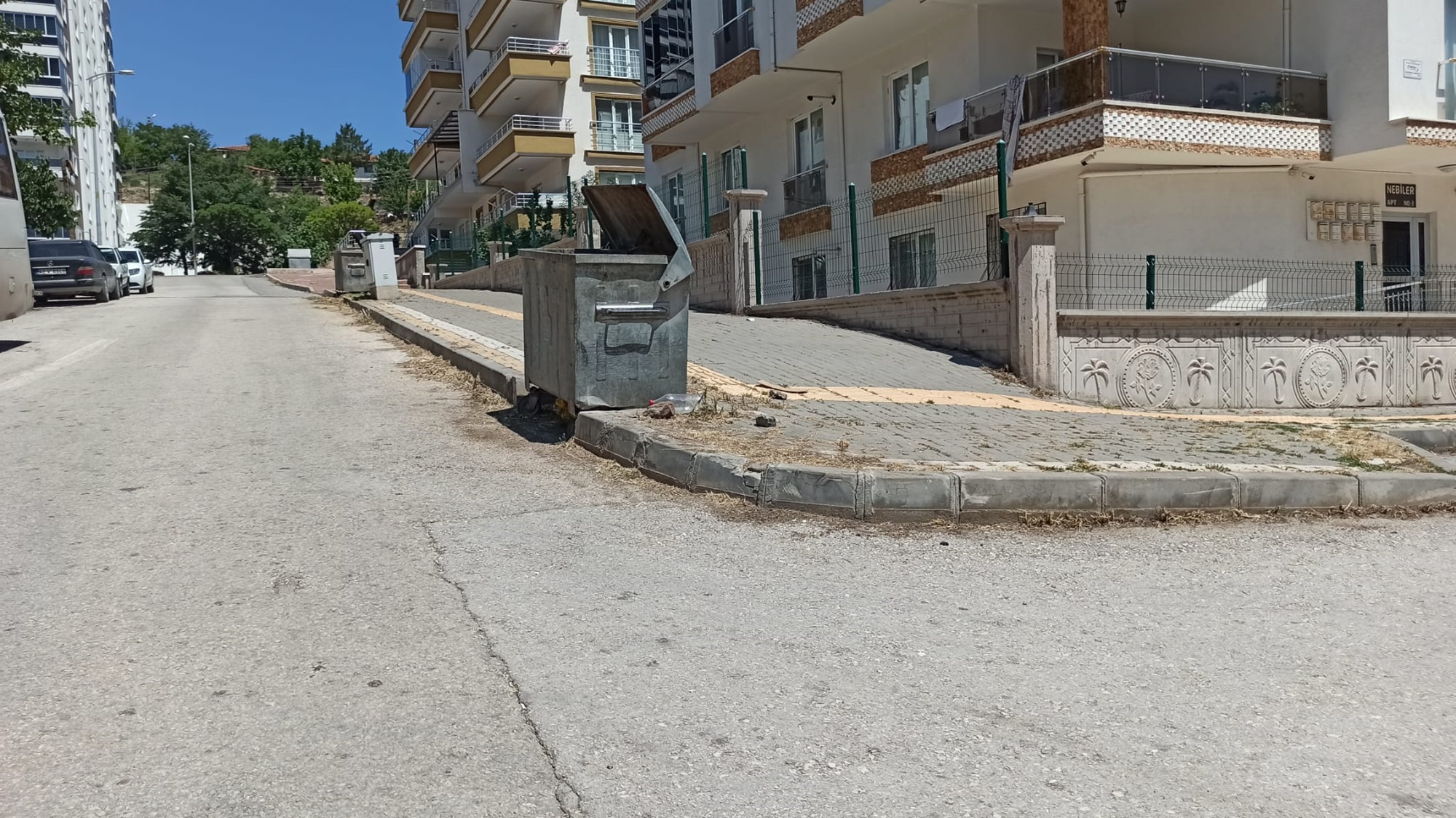 Otlar Diz Boyuydu Şimdi Pırıl Pırıl Haberimiz Karşılık Buldu264