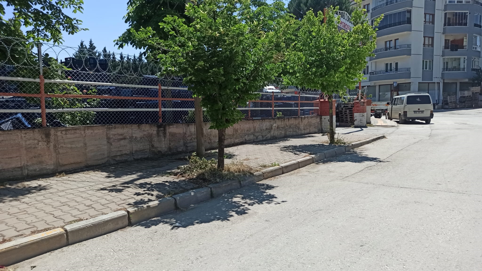 Otlar Diz Boyuydu Şimdi Pırıl Pırıl Haberimiz Karşılık Buldu3