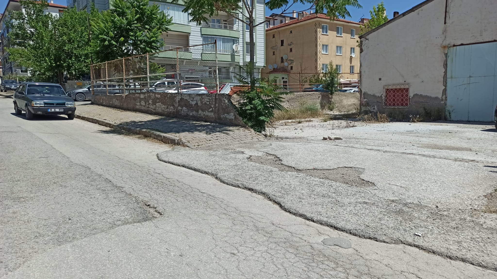 Otlar Diz Boyuydu Şimdi Pırıl Pırıl Haberimiz Karşılık Buldu4
