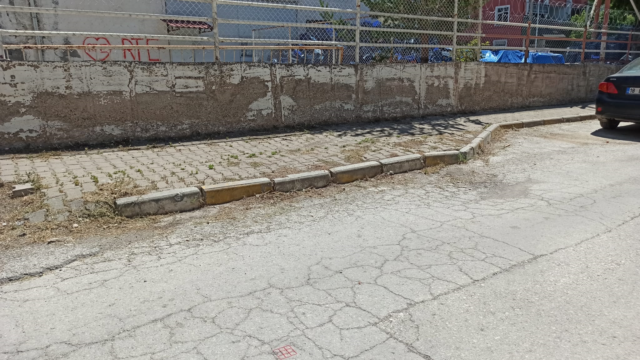 Otlar Diz Boyuydu Şimdi Pırıl Pırıl Haberimiz Karşılık Buldu54