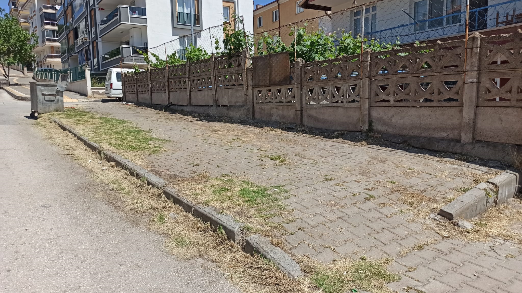 Otlar Diz Boyuydu Şimdi Pırıl Pırıl Haberimiz Karşılık Buldu64