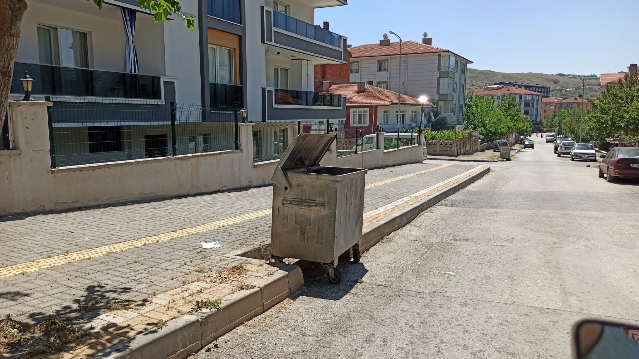Otlar Diz Boyuydu Şimdi Pırıl Pırıl Haberimiz Karşılık Buldu7