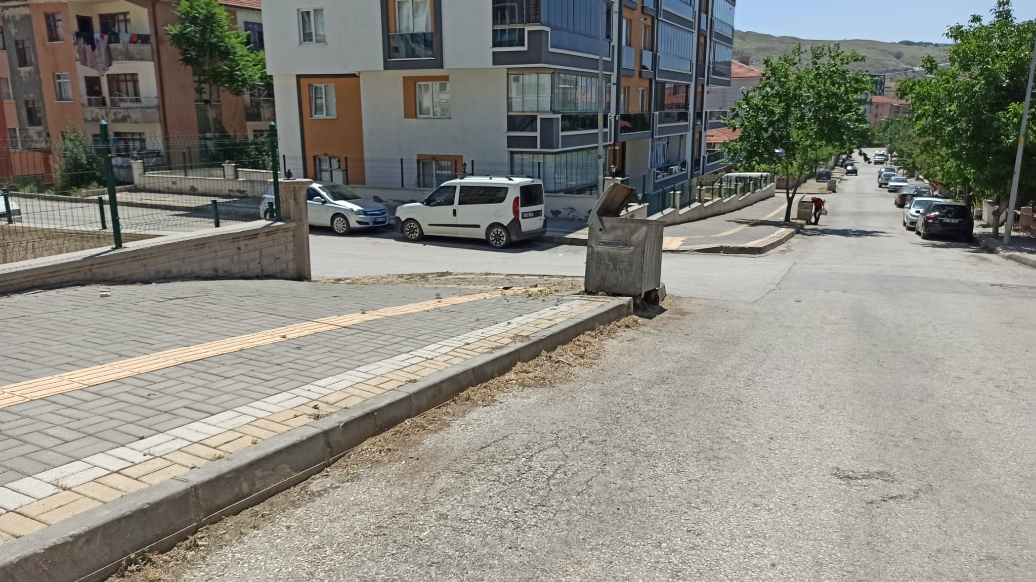 Otlar Diz Boyuydu Şimdi Pırıl Pırıl Haberimiz Karşılık Buldu84