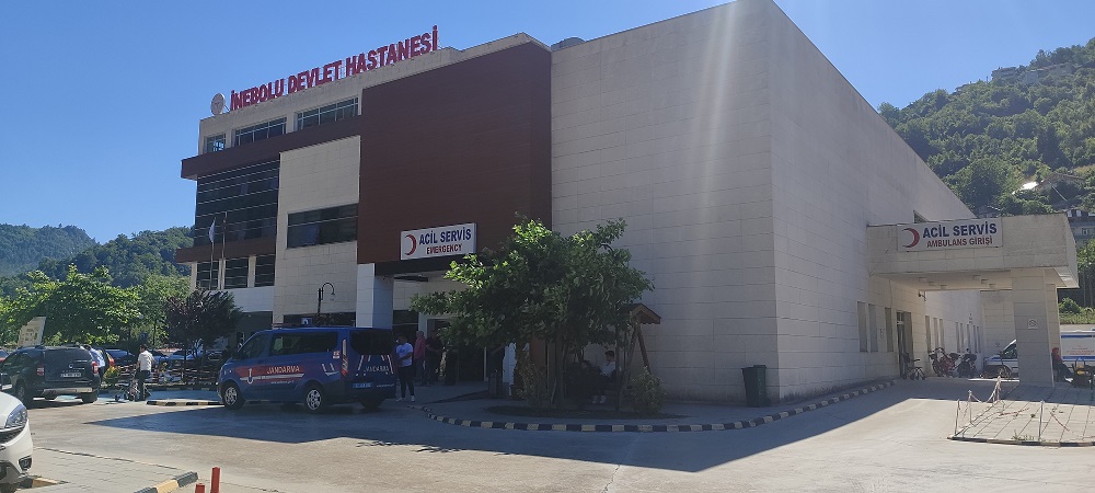 Üzüm Yaprağı Toplamaya Gitti, Hayatını Kaybetti (1)