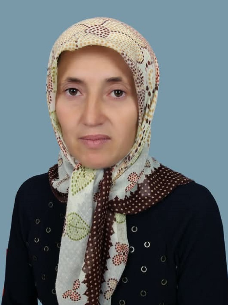 Üzüm Yaprağı Toplamaya Gitti, Hayatını Kaybetti (2)