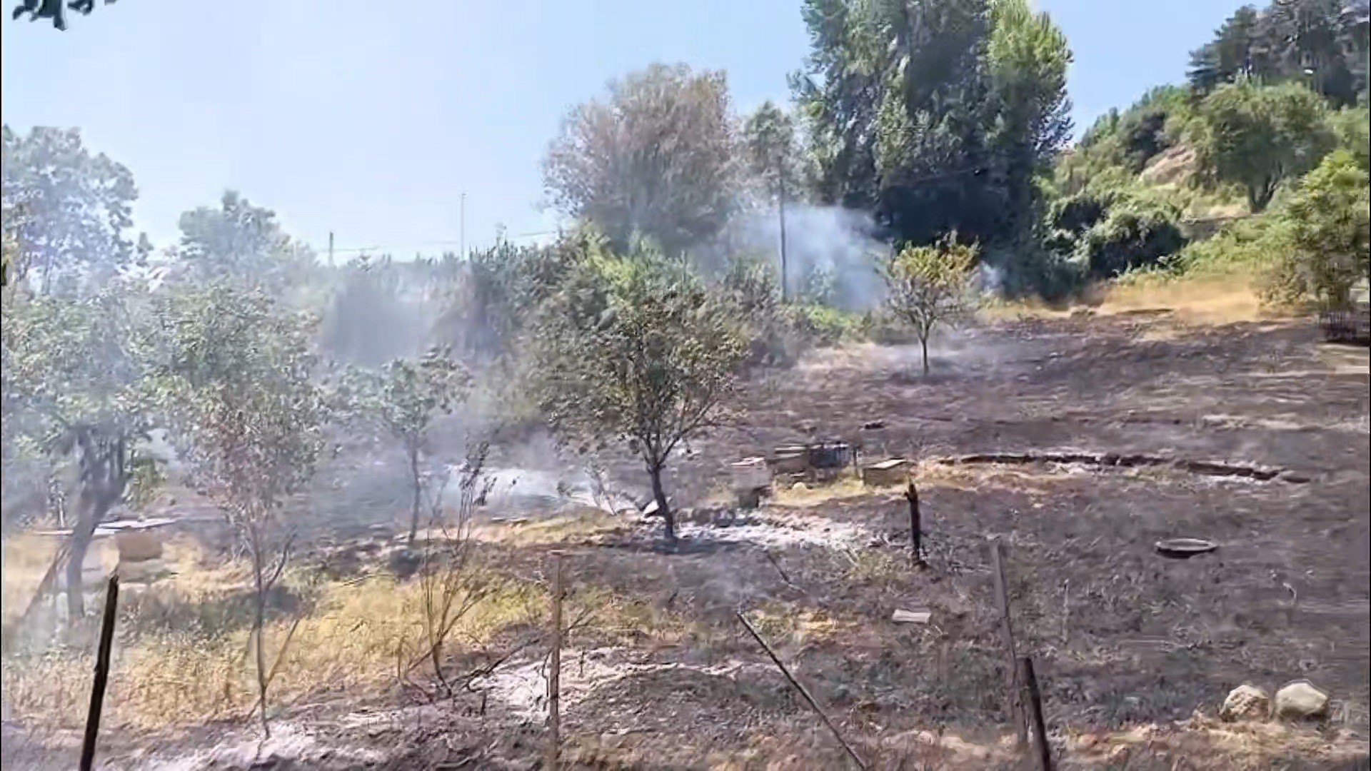 Yangın Arı Kovanlarına Sıçramadan Söndürüldü (1)